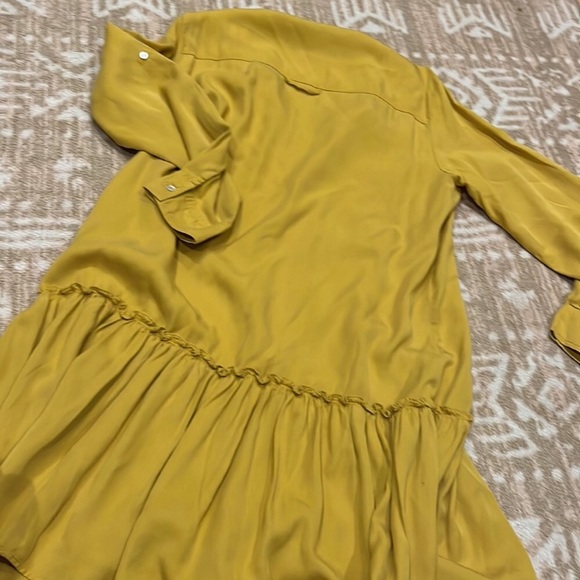 Zara Drop Waist Dress - Picture 6 of 7
